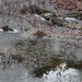 Robin Desmond Photo 2