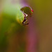 Mark Vines Photo 31