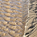 Sandy Sutton Photo 14