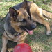 Donna Shepherd Photo 14