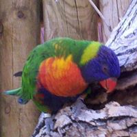 Terri Walter Photo 27