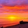 Beth Hopkins Photo 28