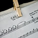 Robert Roeder Photo 12