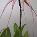 Linda Sandler Photo 10