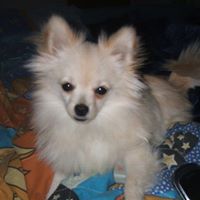Tammy Ross Photo 2