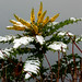 Milton Winters Photo 6