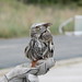Heather Hendricks Photo 21