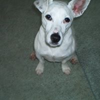 Mary Joubert Photo 7
