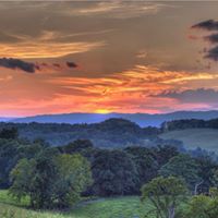 Tammy Harris Photo 26
