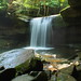 Daniel Slaughter Photo 19