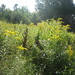Connie Norris Photo 25