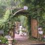 Debbie Goodwin Photo 32