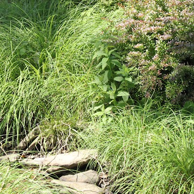 Janet Long Photo 28