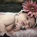 Tabitha Presley Photo 13