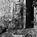Christopher South Photo 24