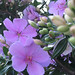 Anne Core Photo 15