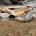 Sandy Tubbs Photo 15