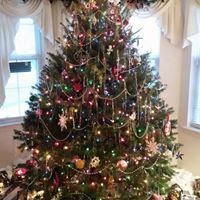 Joseph Alaimo Photo 17