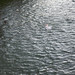 Samuel Mcadams Photo 5
