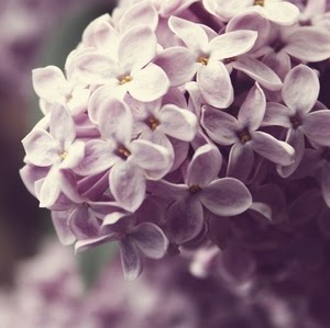 Rebecca Sterling Photo 34