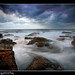 Michael Pyles Photo 10