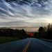 Danny Morrison Photo 39