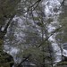 Helen Davis Photo 21