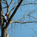 Kurt Carlson Photo 12