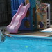 Janet Day Photo 14