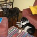 Christine Battaglia Photo 9