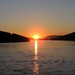 Andrea Swartz Photo 15