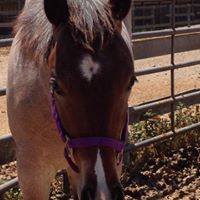 Janet Heckman Photo 15