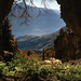 Erik Wallis Photo 11