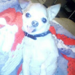 Daphne Hubbard Photo 4