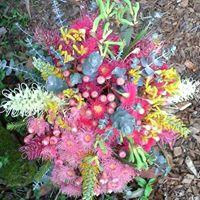 Tracey Schroeder Photo 7