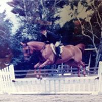 Jill Austin Photo 30
