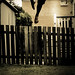 Mark Pollard Photo 8