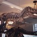 Rex Ross Photo 11