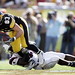 Raymond Sapp Photo 7