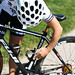 Shelley Becker Photo 20
