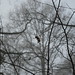 Billy Dunham Photo 16