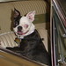 Patsy Brown Photo 26