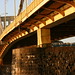 Andy Bridges Photo 27