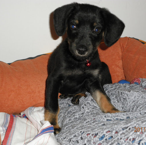 Johnny Hood Photo 34