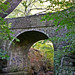Judy Bridges Photo 25