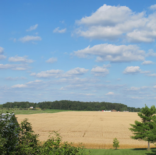 James Caudill Photo 31