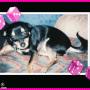 Anita King Photo 46
