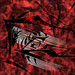 Jeanette Sharp Photo 27