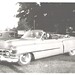 Norma Jackson Photo 34