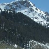 Timothy Perdue Photo 17